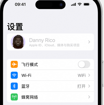 莞城街道appleID维修服务iPhone设置中Apple ID显示为灰色无法使用 