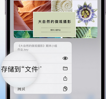 莞城街道apple维修中心分享iPhone文件应用中存储和找到下载文件