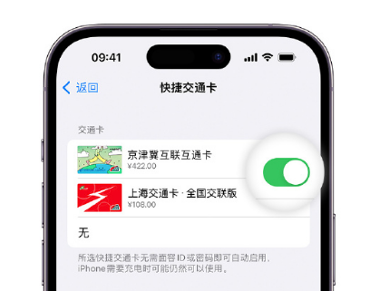 莞城街道apple维修点分享iPhone上更换Apple Pay快捷交通卡手绘卡面 