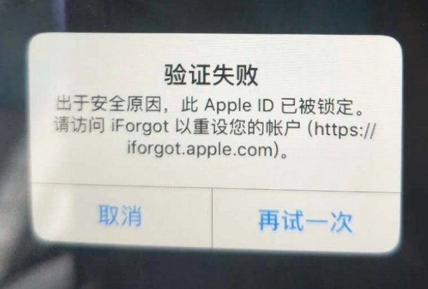 莞城街道iPhone维修分享iPhone上正常登录或使用AppleID怎么办 