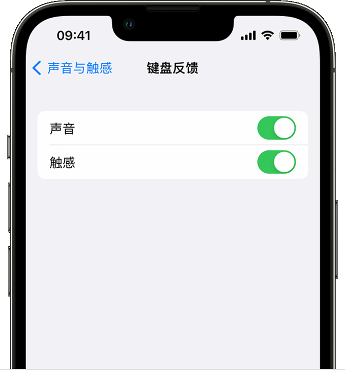 莞城街道苹果14维修店分享如何在 iPhone 14 机型中使用触感键盘 