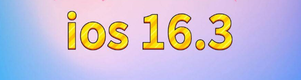 莞城街道苹果服务网点分享苹果iOS16.3升级反馈汇总 