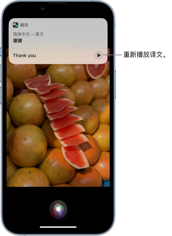 莞城街道苹果14维修分享 iPhone 14 机型中使用 Siri：了解 Siri 能帮你做什么 