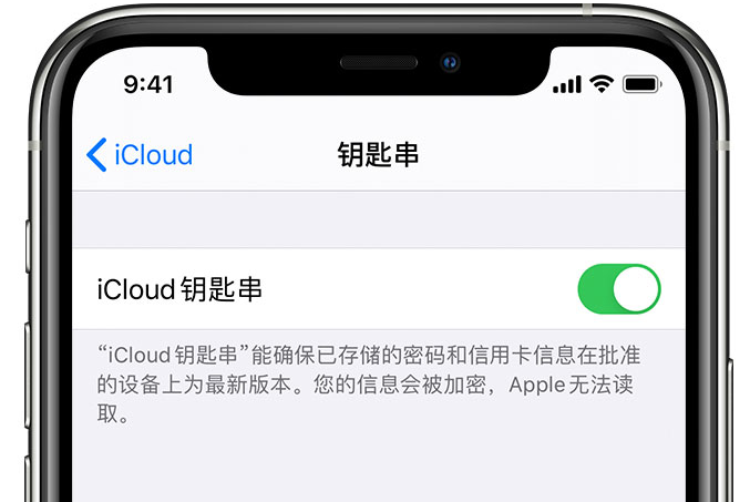 莞城街道苹果手机维修分享在 iPhone 上开启 iCloud 钥匙串之后会储存哪些信息 