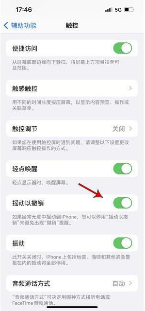 莞城街道苹果手机维修分享iPhone手机如何设置摇一摇删除文字 